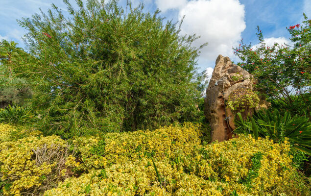 Son Siurana - Photo 33