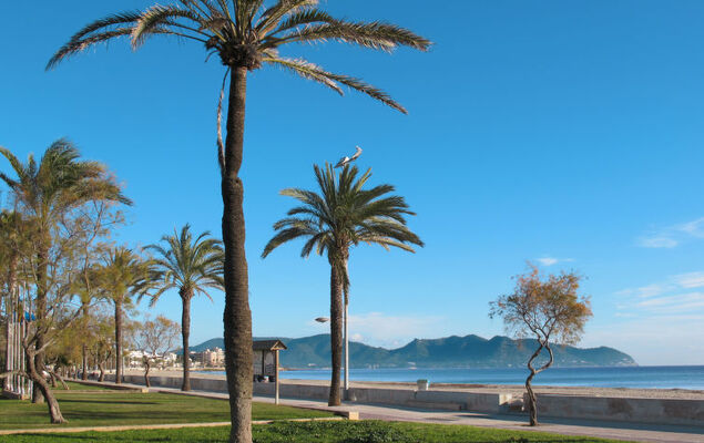 S'Illot-Cala Morlanda - Photo 20