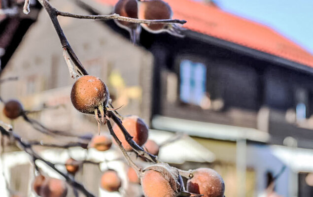 Weissenbach - Photo 32