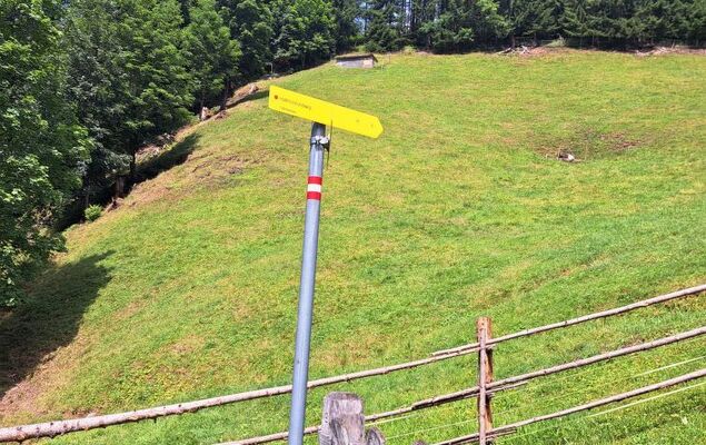 Bischofsmütze - Photo 20